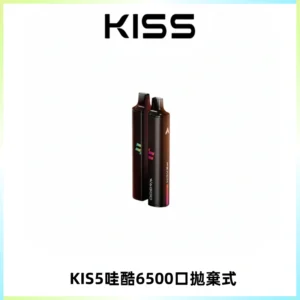 KIS5WAGOO哇酷6500口拋棄式 | 自由混搭雙口味 | 雙芯組合