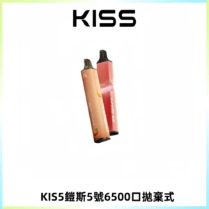 KIS5鎧斯5號一次性6500口磁吸式拋棄式電子煙#自由混搭#